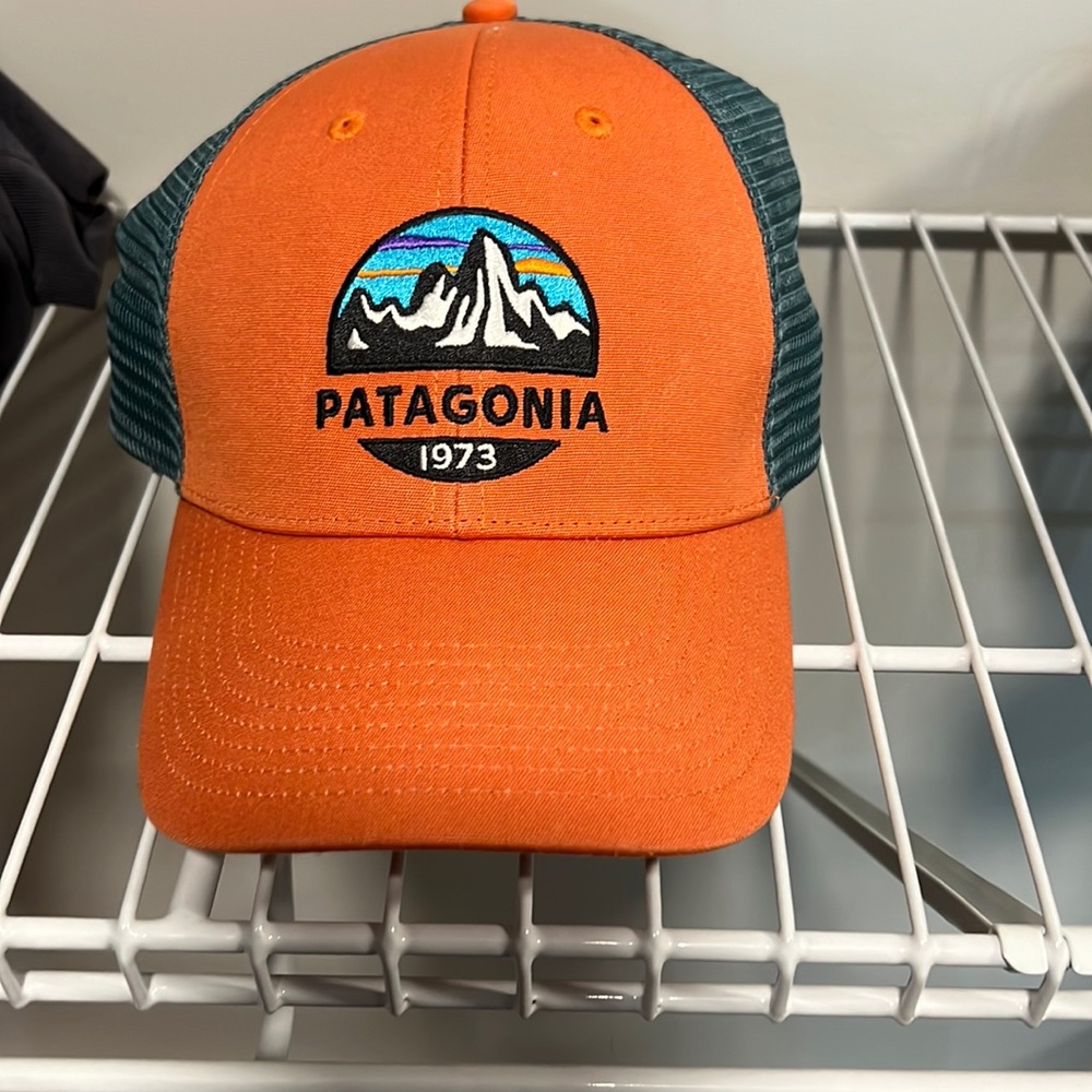 Patagonia trucker hat